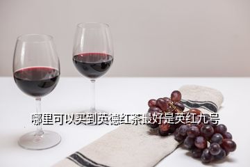 哪里可以買(mǎi)到英德紅茶最好是英紅九號(hào)
