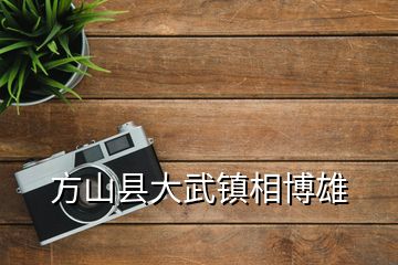 方山縣大武鎮(zhèn)相博雄