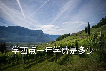 學(xué)西點(diǎn)一年學(xué)費(fèi)是多少