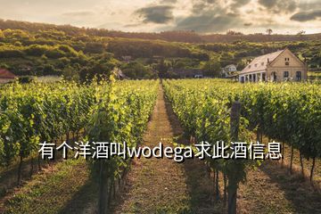 有個(gè)洋酒叫wodega求此酒信息