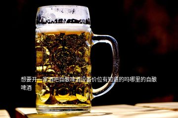 想要開(kāi)一家酒吧自釀啤酒設(shè)備價(jià)位有知道的嗎哪里的自釀啤酒