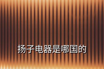揚(yáng)子電器是哪國的