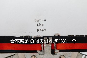 雪花啤酒勇闖天涯禮包1X6一個(gè)