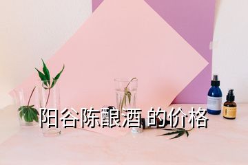 陽谷陳釀酒 的價格
