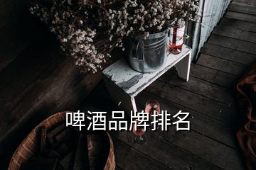 啤酒品牌排名