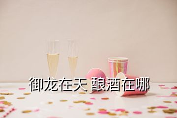 御龍在天 釀酒在哪