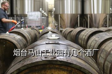 煙臺(tái)馬山工業(yè)園有幾個(gè)酒廠(chǎng)
