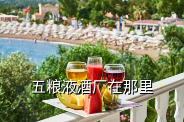 五糧液酒廠在那里