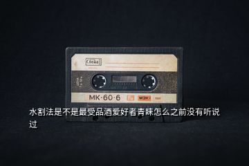 水割法是不是最受品酒愛好者青睞怎么之前沒有聽說過