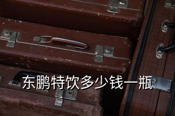 東鵬特飲多少錢(qián)一瓶