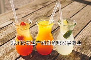 鄭州砂石生產(chǎn)線設備哪家最專業(yè)