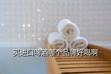 買進(jìn)口啤酒哪個品牌好喝啊
