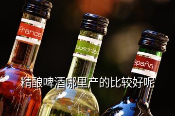 精釀啤酒哪里產(chǎn)的比較好呢