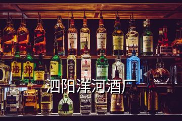 泗陽(yáng)洋河酒廠