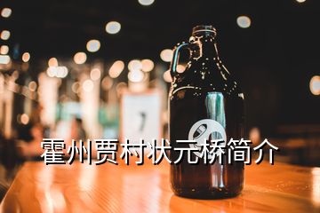 霍州賈村狀元橋簡介
