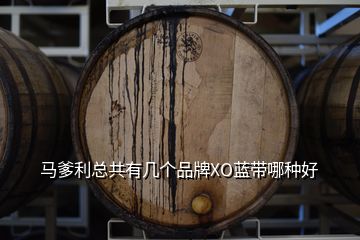 馬爹利總共有幾個品牌XO藍帶哪種好