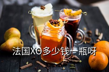 法國(guó)XO多少錢一瓶呀