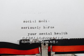 我家里的人頭馬是USOP蓋子上是REMYMARTINCOGNAC標簽上