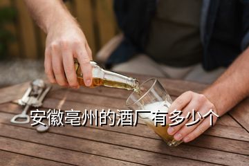 安徽亳州的酒廠有多少個(gè)