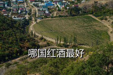 哪國(guó)紅酒最好