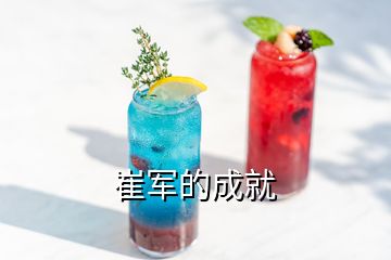 崔軍的成就