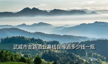 武威市金路酒業(yè)喜結良緣酒多少錢一瓶