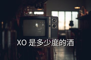 XO 是多少度的酒