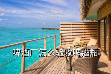 啤酒廠(chǎng)怎么驗(yàn)收啤酒瓶