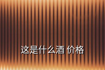 這是什么酒 價格