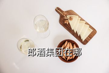 郎酒集團在哪