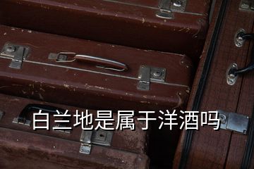 白蘭地是屬于洋酒嗎
