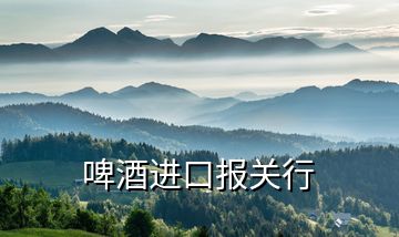 啤酒進(jìn)口報關(guān)行