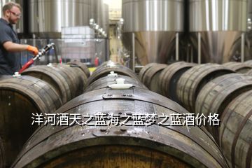 洋河酒天之藍海之藍夢之藍酒價格