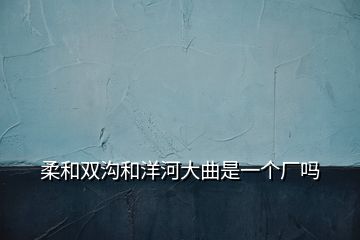柔和雙溝和洋河大曲是一個廠嗎
