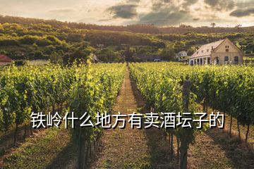 鐵嶺什么地方有賣(mài)酒壇子的