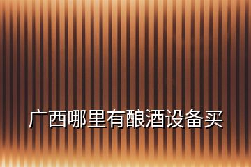 廣西哪里有釀酒設備買