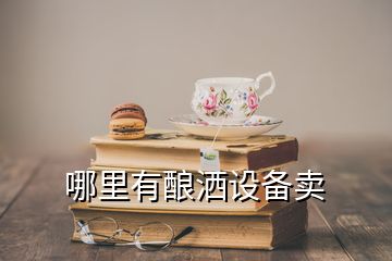 哪里有釀灑設(shè)備賣(mài)