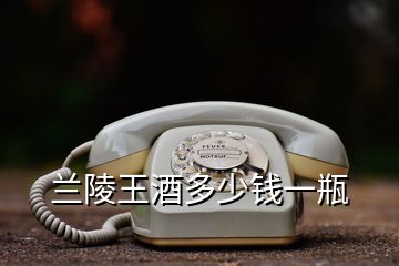 蘭陵王酒多少錢(qián)一瓶