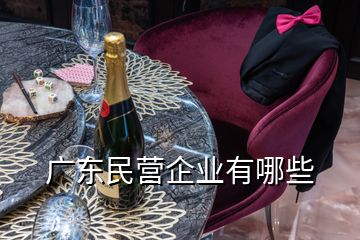 廣東民營(yíng)企業(yè)有哪些