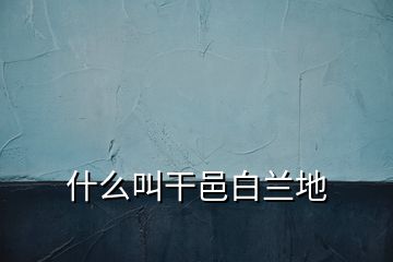 什么叫干邑白蘭地