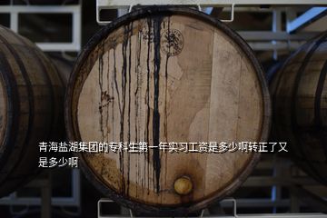 青海鹽湖集團(tuán)的專(zhuān)科生第一年實(shí)習(xí)工資是多少啊轉(zhuǎn)正了又是多少啊