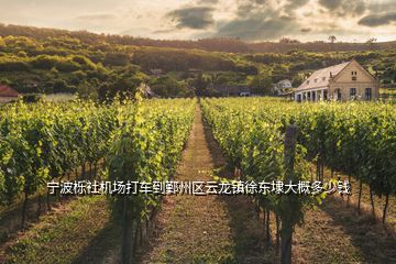 寧波櫟社機(jī)場打車到鄞州區(qū)云龍鎮(zhèn)徐東埭大概多少錢