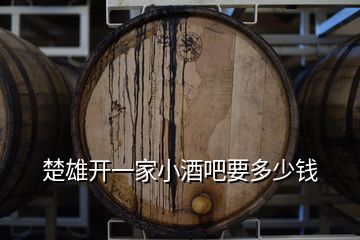 楚雄開一家小酒吧要多少錢