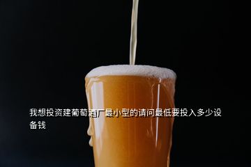 我想投資建葡萄酒廠最小型的請(qǐng)問(wèn)最低要投入多少設(shè)備錢