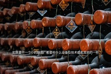 如果要開(kāi)一個(gè)小的釀酒廠都要些什么設(shè)備及技術(shù)或者其他的一些