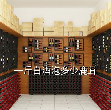 一斤白酒泡多少鹿茸