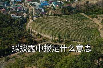 擬披露中報是什么意思