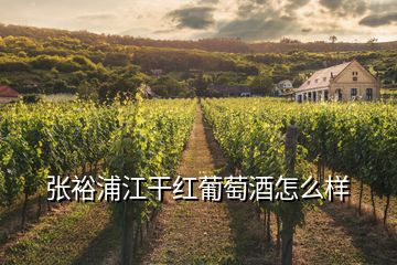 張?jiān)Ｆ纸杉t葡萄酒怎么樣