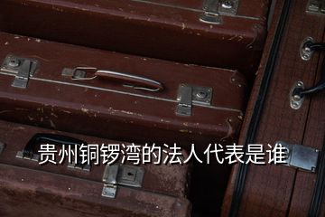 貴州銅鑼灣的法人代表是誰(shuí)