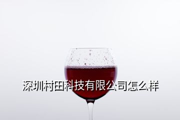 深圳村田科技有限公司怎么樣